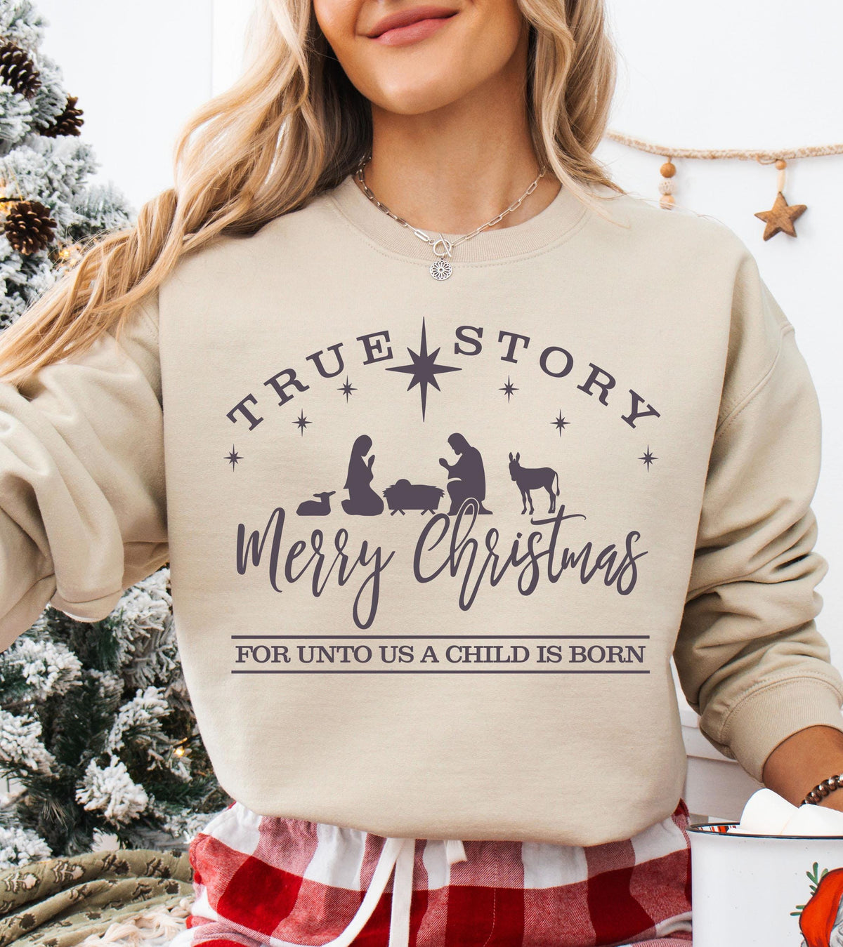 True Story Christmas Sweatshirt, Religious Christmas Sweater, Christian Family Xmas Hoodie, Christmas Jesus Crewneck, Christmas Kids Gift
