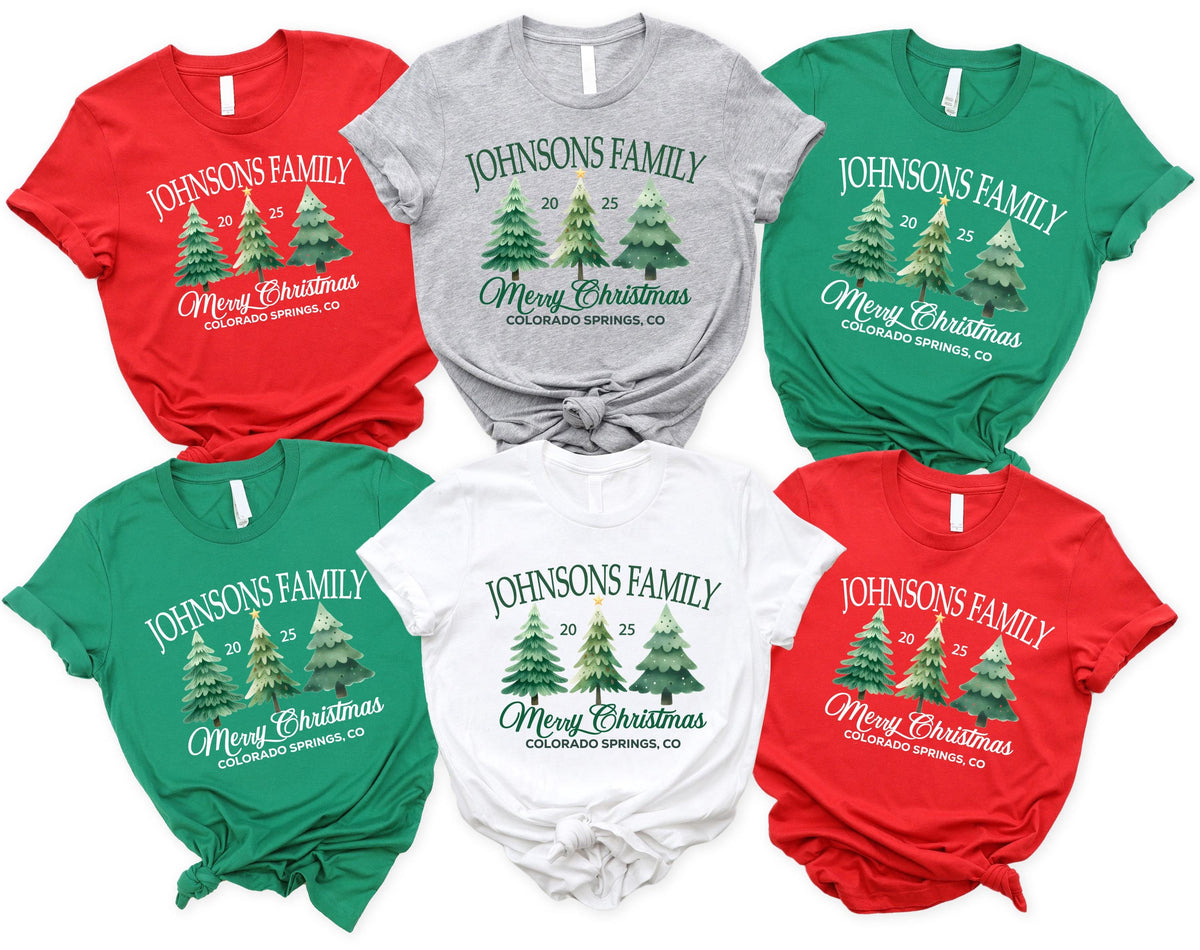 Merry Christmas Family Shirt, Custom Family Christmas Tees, Xmas Reunion Shirt, Last Name Christmas Sweatshirt