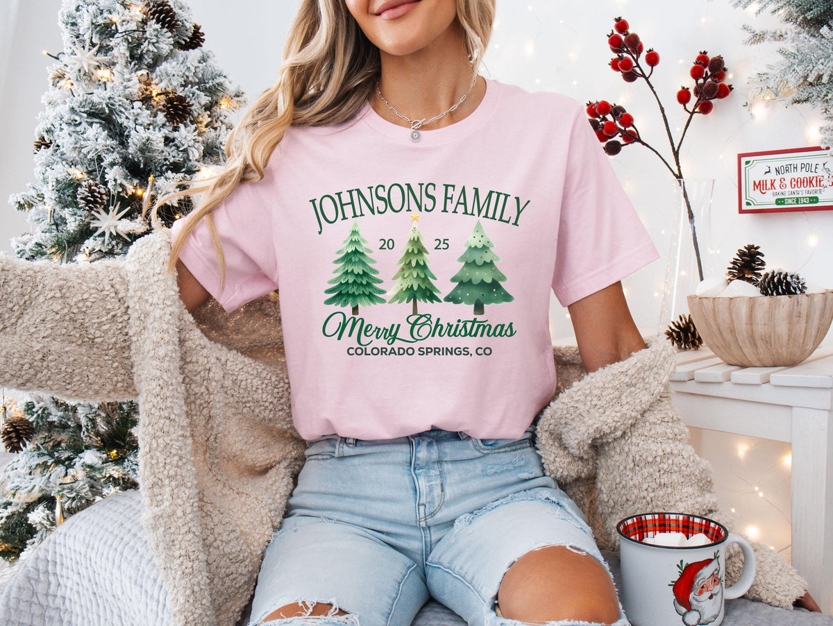 Merry Christmas Family Shirt, Custom Family Christmas Tees, Xmas Reunion Shirt, Last Name Christmas Sweatshirt
