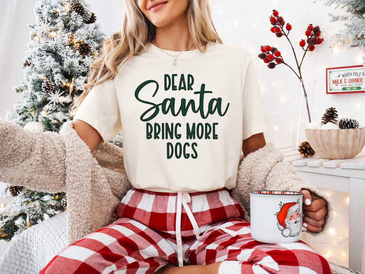 Dear Santa Shirt, Christmas Group Matching Tees, Christmas Family Sweatshirt, Christmas Quotes T-shirt, Christmas Family Sweater