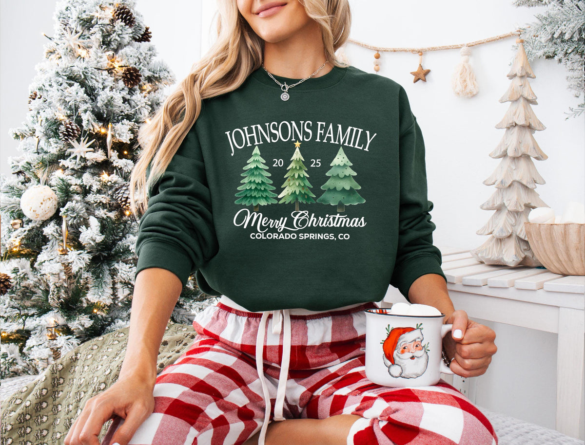 Merry Christmas Family Shirt, Custom Family Christmas Tees, Xmas Reunion Shirt, Last Name Christmas Sweatshirt