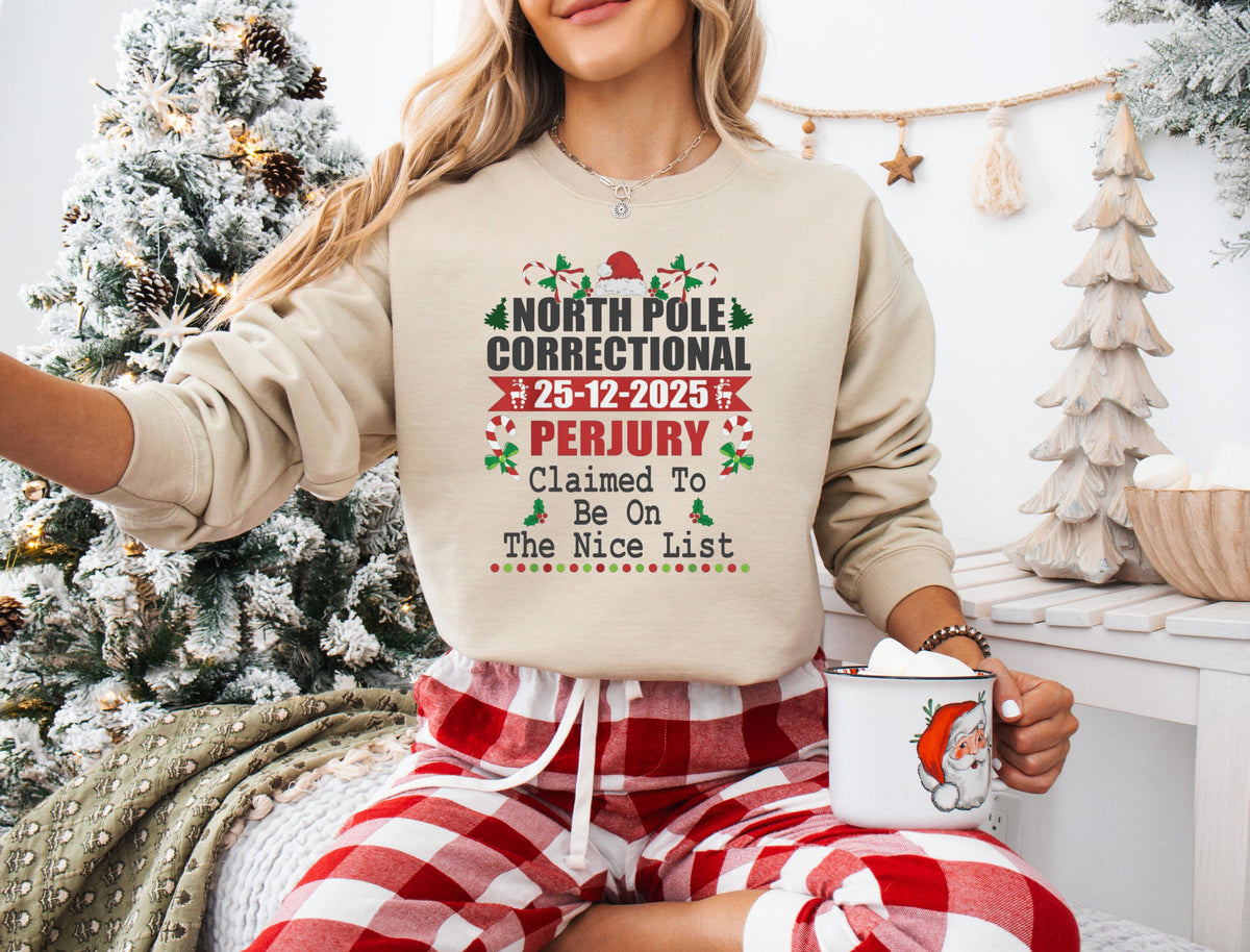 Christmas Quotes Shirt, Christmas Group Matching Tees, Christmas Family Sweatshirt, Friends Reunion Xmas T-shirt, Christmas Family Gift