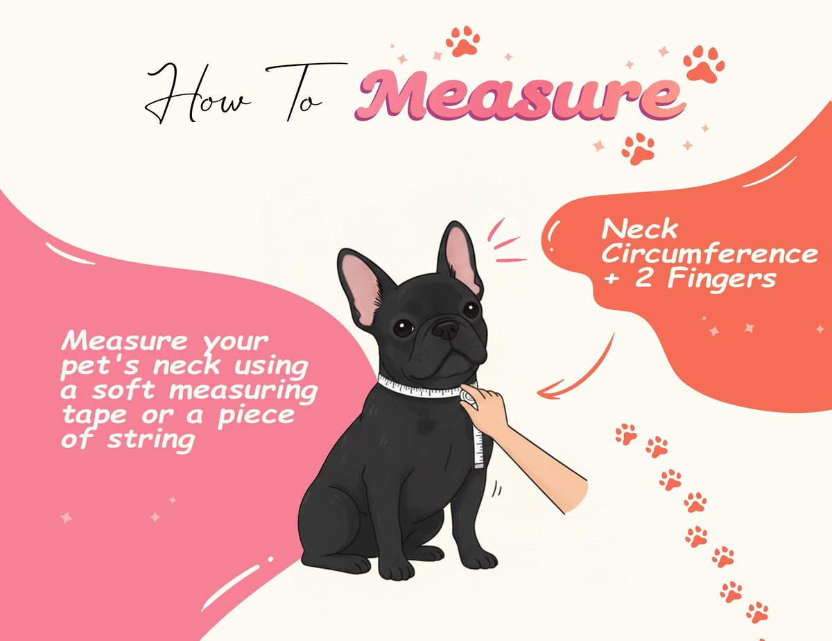 Personalized Plaid Pet Collar, Engraved Metal Buckle Dog Cat Collar With D-Ring
