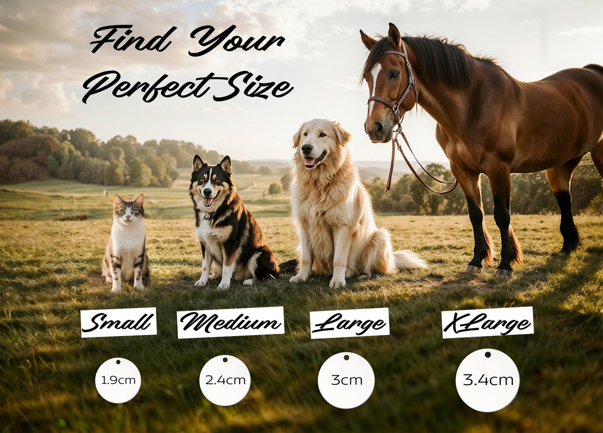 Personalized Engraved Pet ID Tag, Double Sided Round Dog Tag