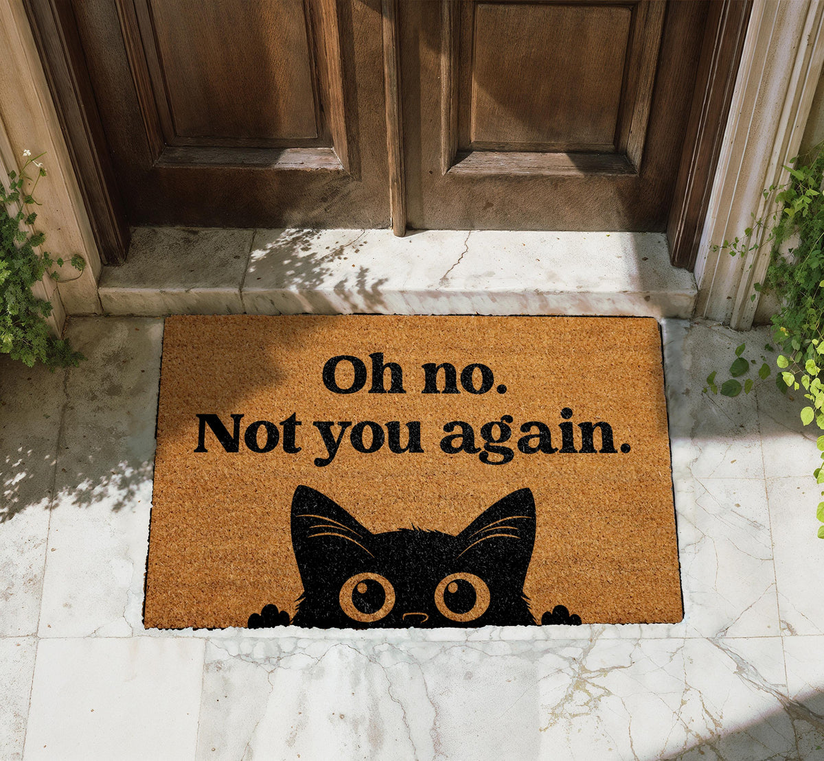 Sarcastic Doormat, Natural Coir Entry Decor, Farmhouse Patio Mat