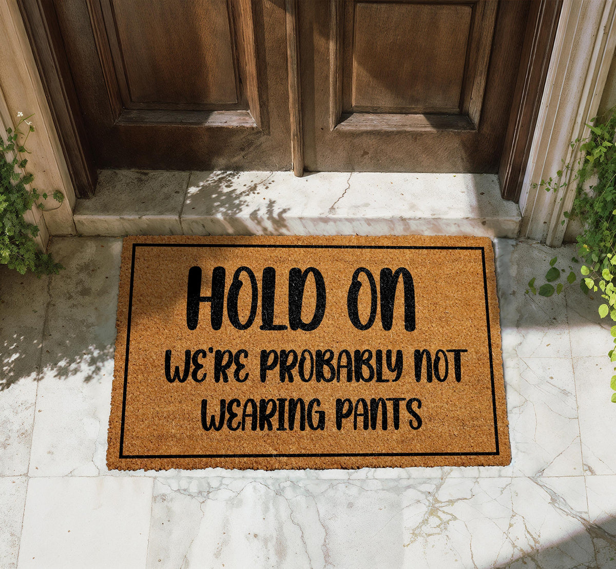 Hold On We're Probably Not Wearing Pants Doormat, Funny Coir Welcome Mat
