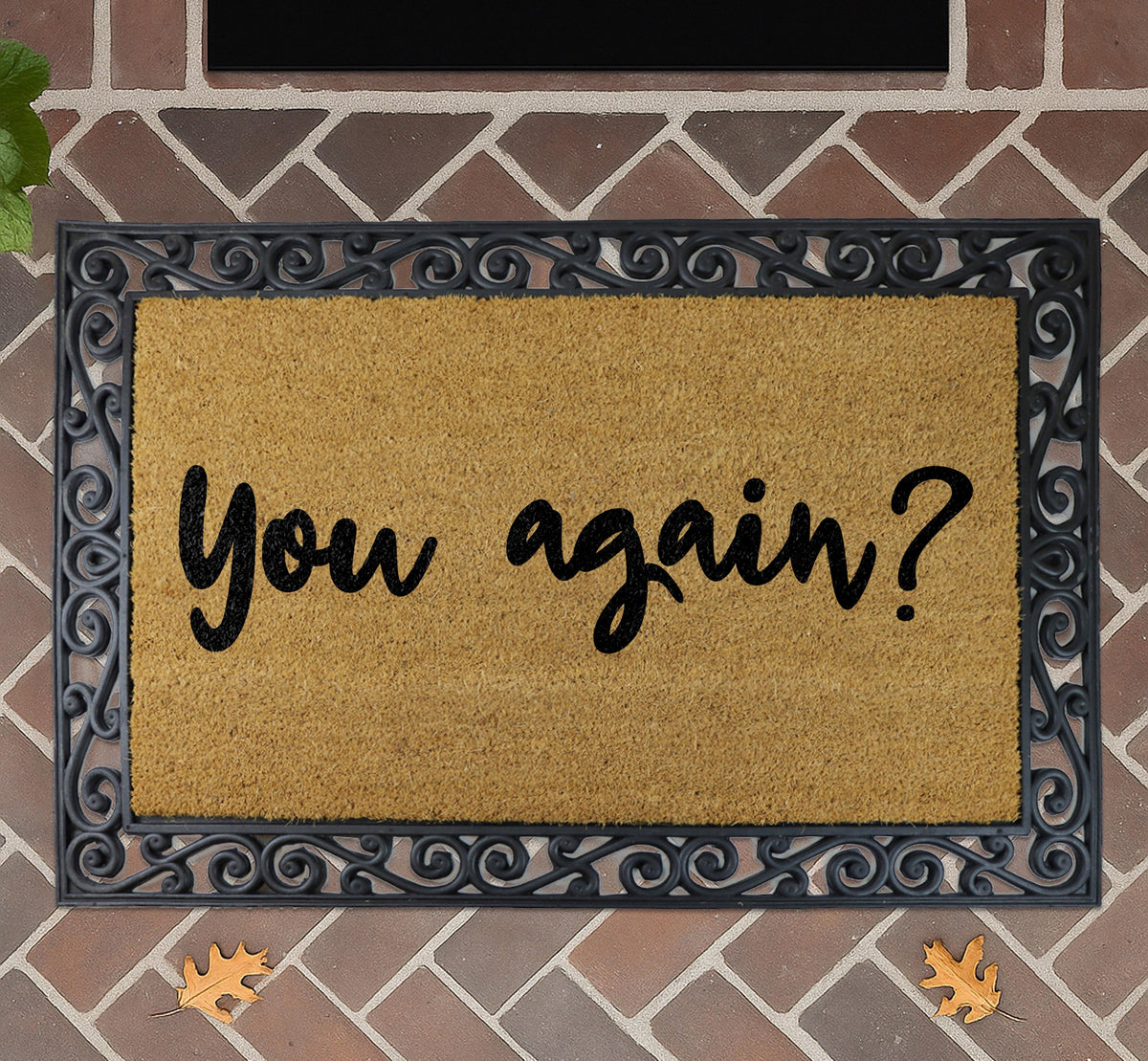 Sarcastic Doormat, Natural Coir Entry Decor, Farmhouse Patio Mat