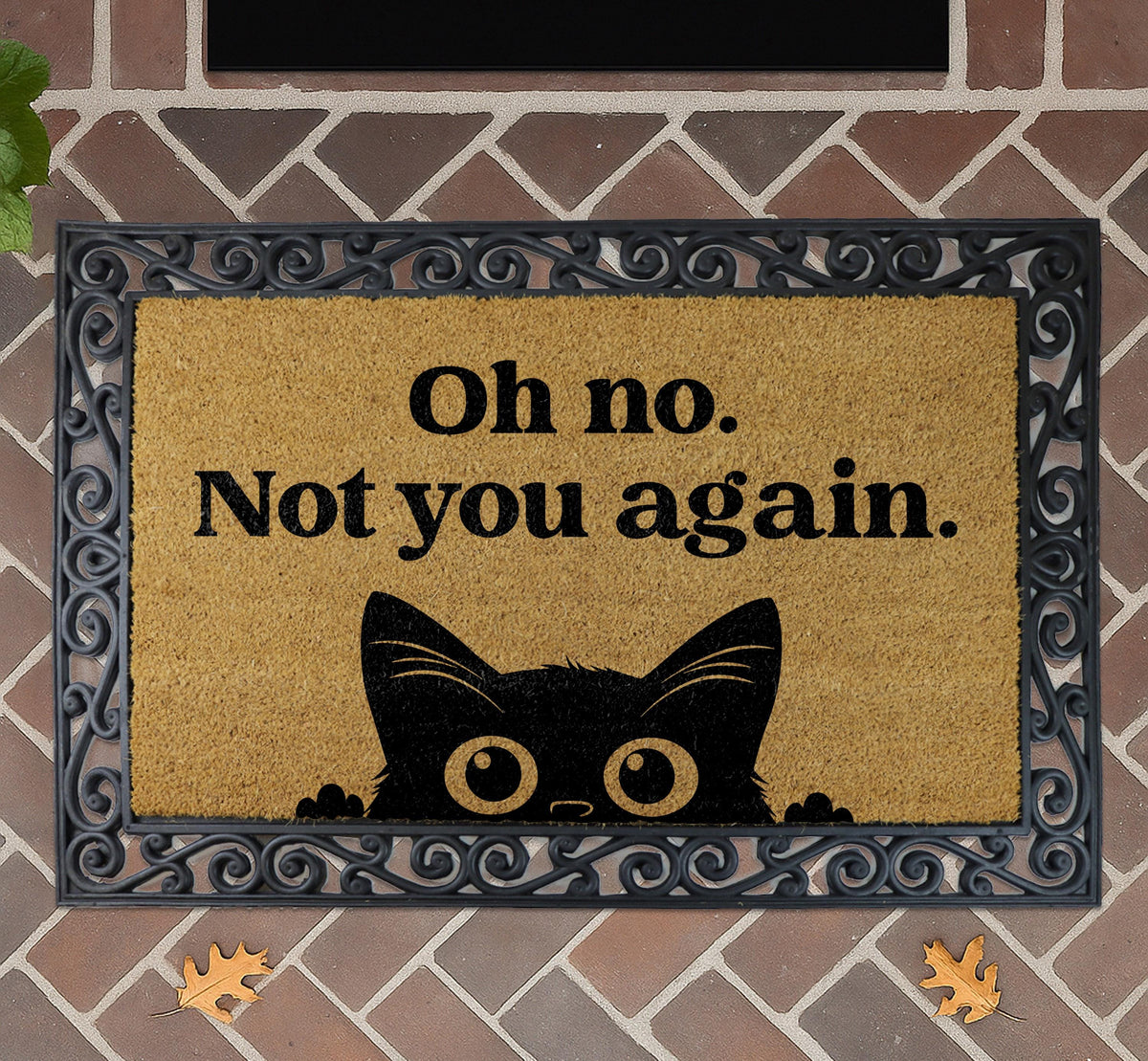 Sarcastic Doormat, Natural Coir Entry Decor, Farmhouse Patio Mat