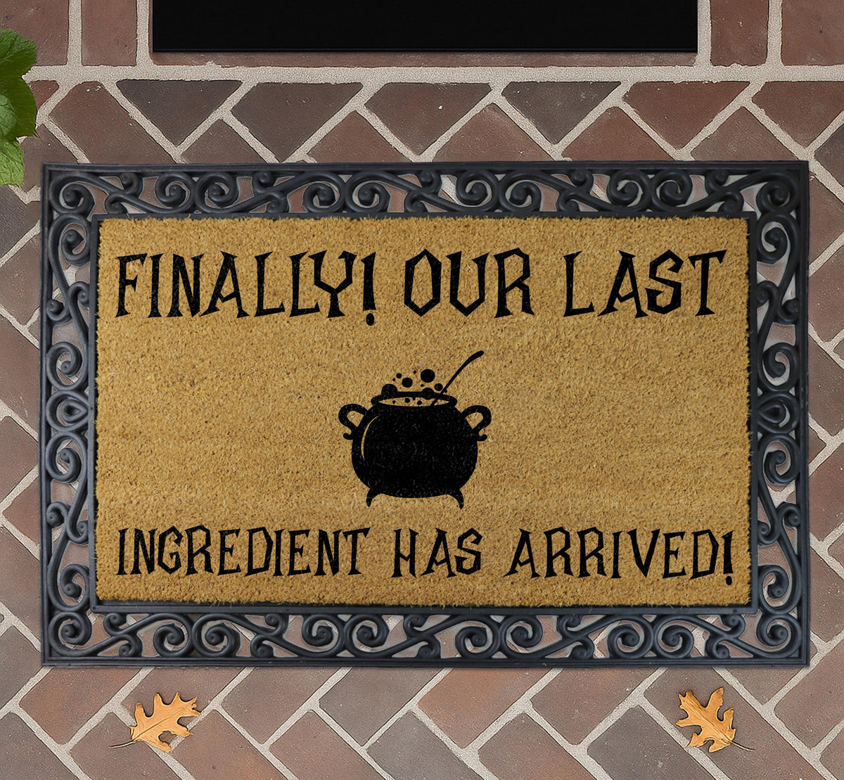 Finally Our Last Ingredient Has Arrived Doormat, Witchy Home Decor, Halloween Welcome Mat