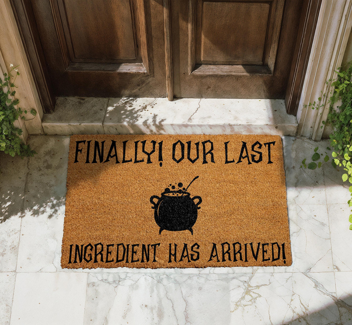 Finally Our Last Ingredient Has Arrived Doormat, Witchy Home Decor, Halloween Welcome Mat