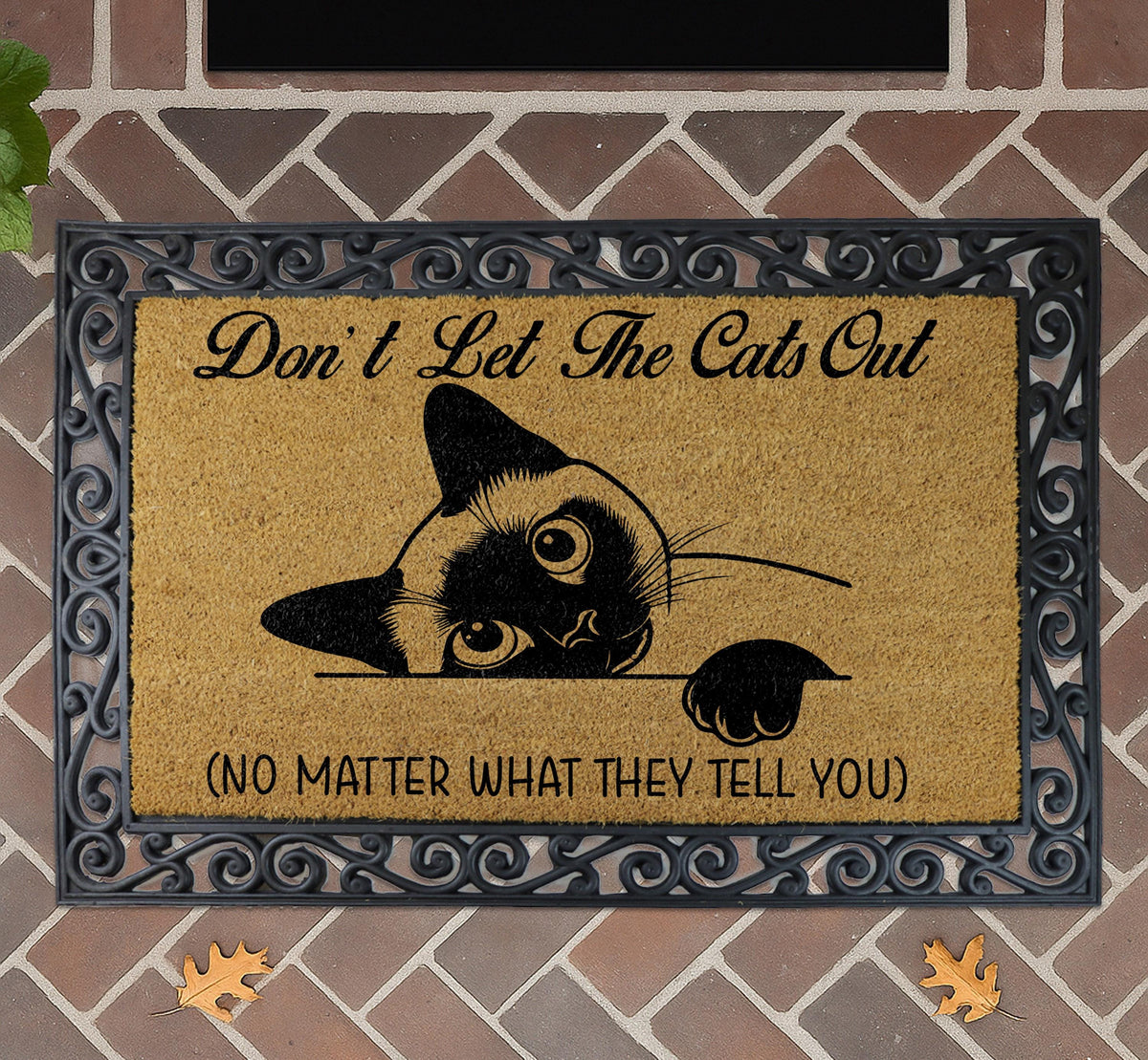 Don't Let The Cats Out Doormat, Funny Cat Welcome Mat, Pet Lover Coir Mat