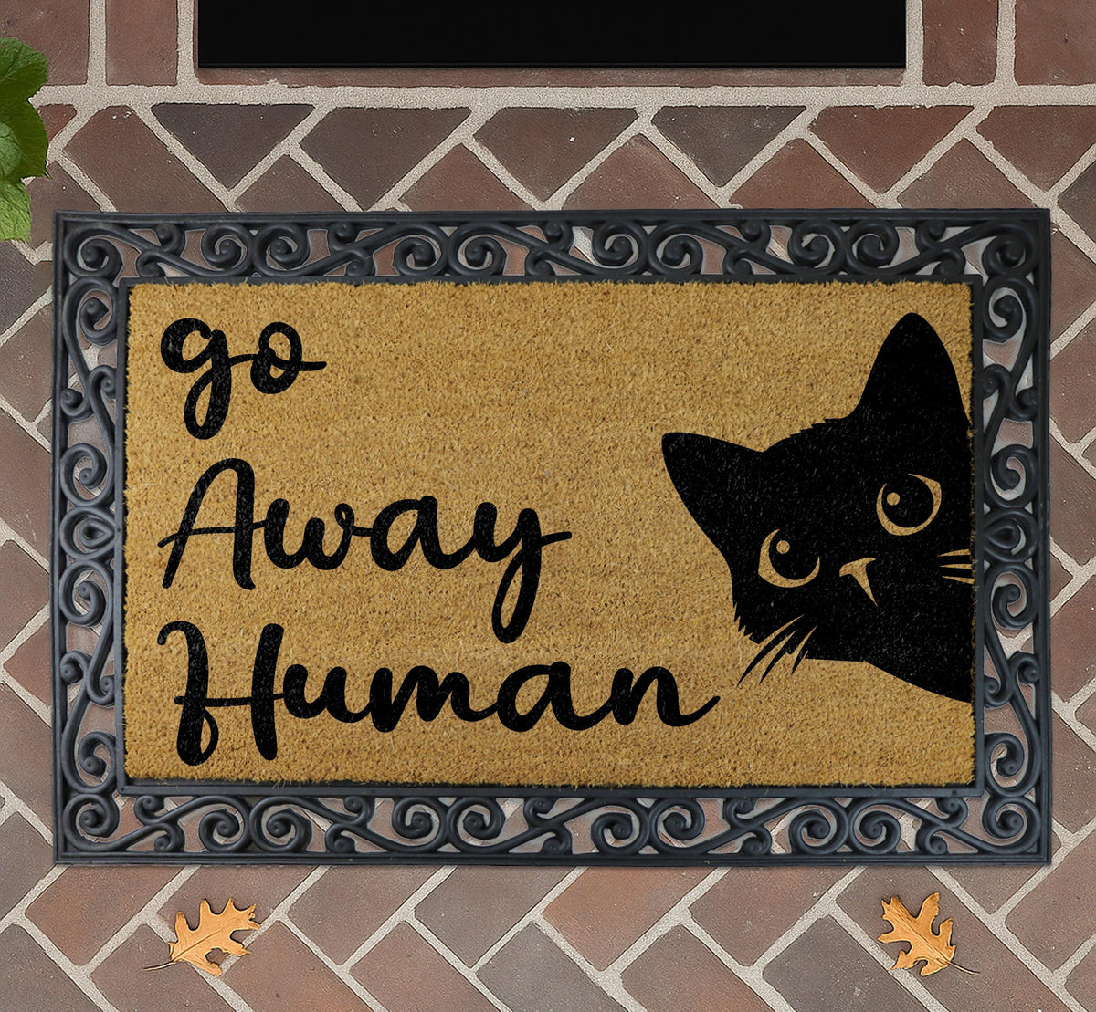 Go Away Human Doormat, Funny Cat Welcome Mat, Cute Kitty Rug, Sarcastic Floor Mat