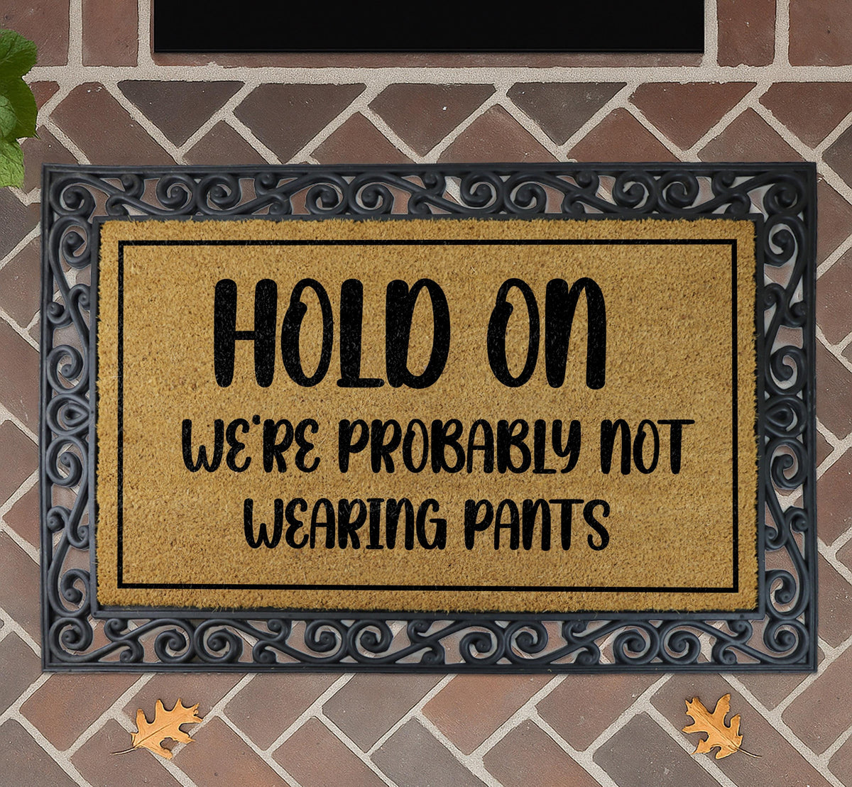 Hold On We're Probably Not Wearing Pants Doormat, Funny Coir Welcome Mat