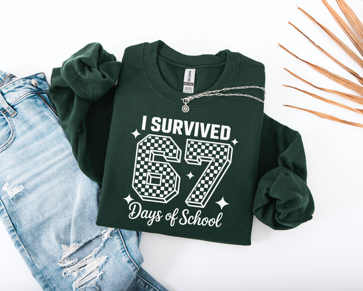I Survived 67 Days of School Sweatshirt, 6 7 Days of School Sweater, Funny Teacher Sweater, Student Six Seven Sweater, School Hoodie