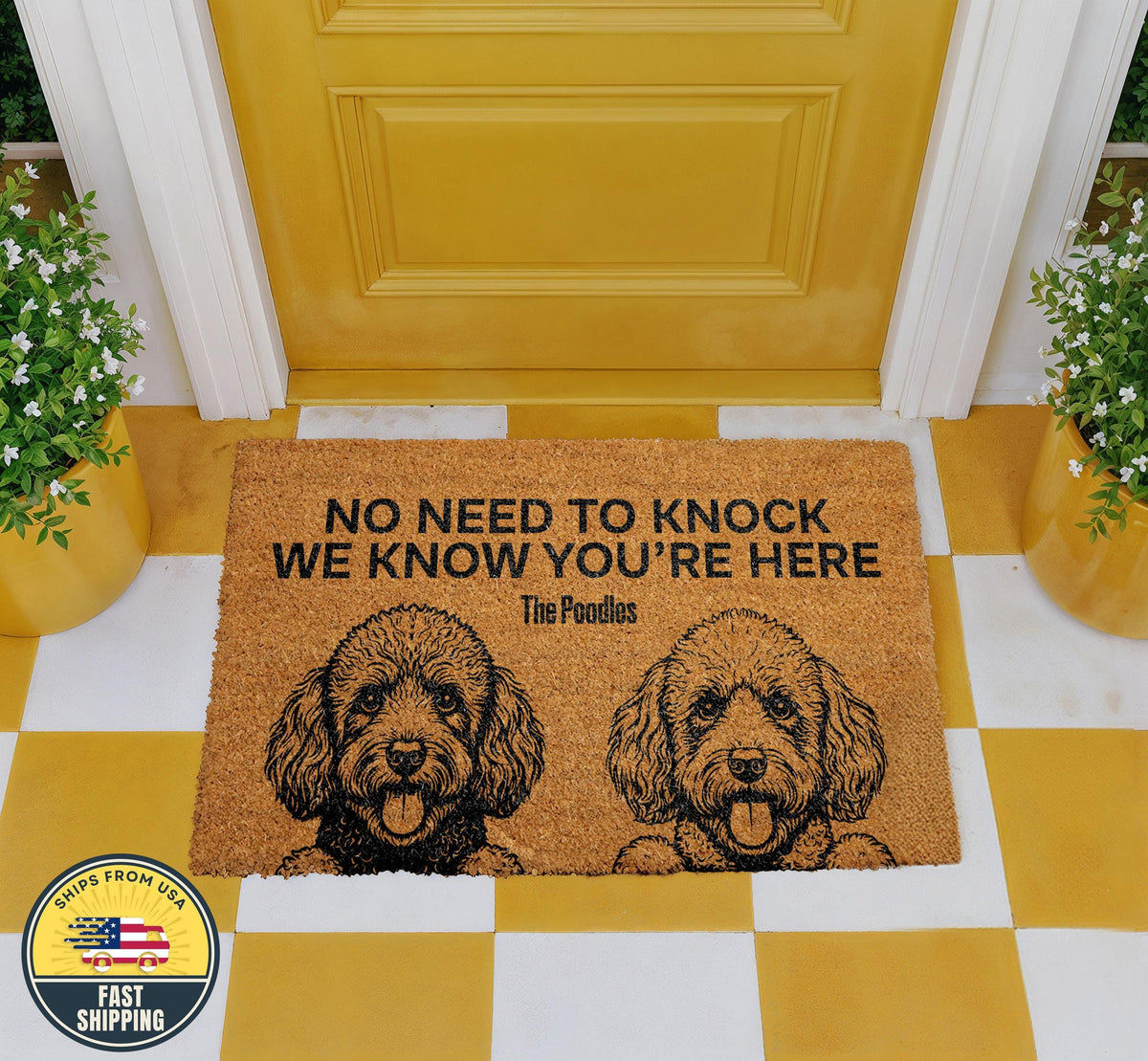 No Need to Knock We Know You are Here The Dogs Doormat, Funny Pet Welcome Mat