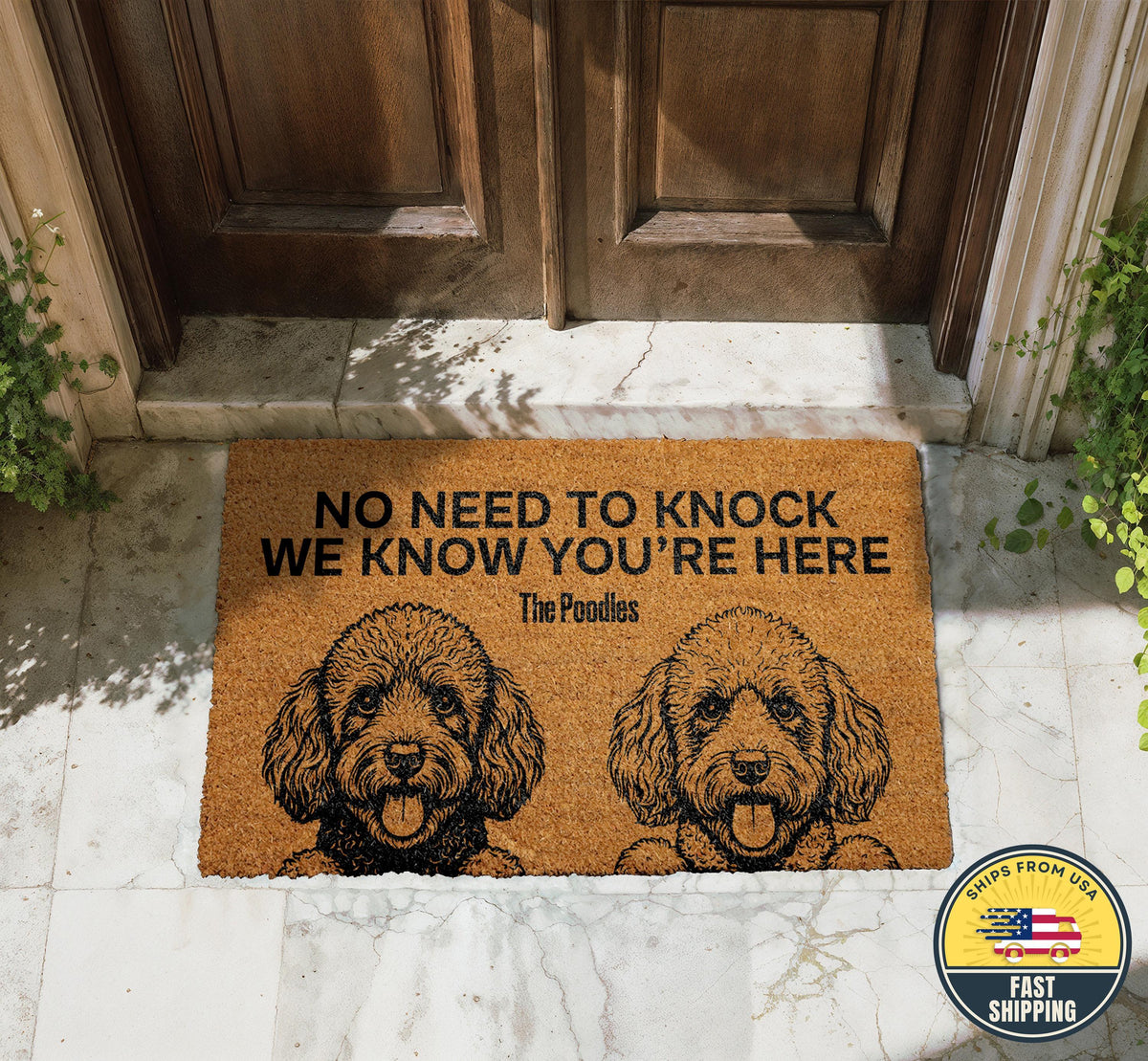 No Need to Knock We Know You are Here The Dogs Doormat, Funny Pet Welcome Mat