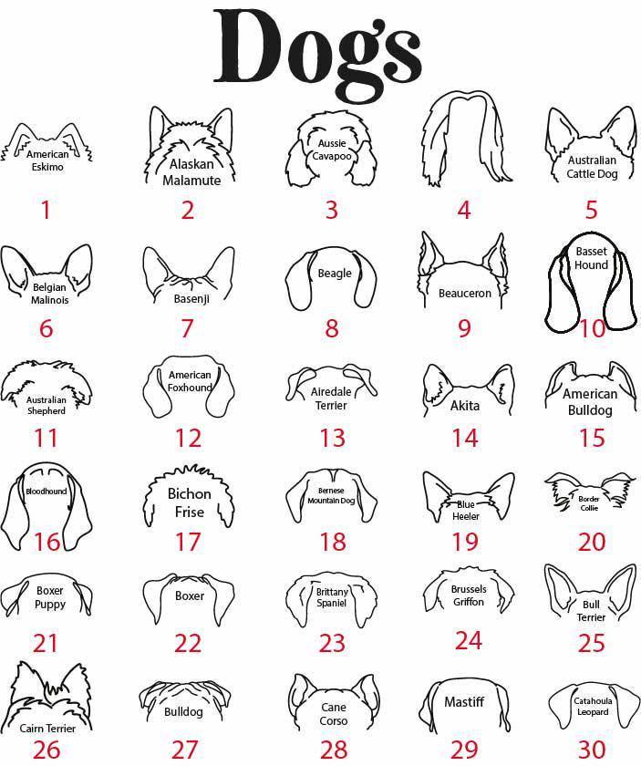 Custom Pet Name Mug, Dogs Split Face Coffee Cup, Dog & Cat Lover Ceramic Mug, Paw Print and Bone Pattern Tea Cup, Puppy Owner Present
