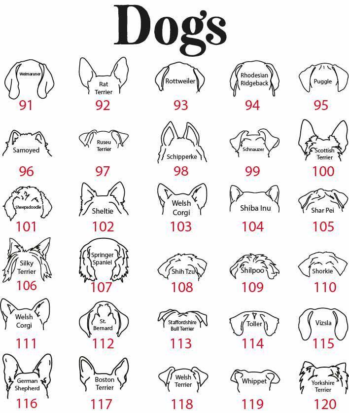 Custom Pet Name Mug, Dogs Split Face Coffee Cup, Dog & Cat Lover Ceramic Mug, Paw Print and Bone Pattern Tea Cup, Puppy Owner Present