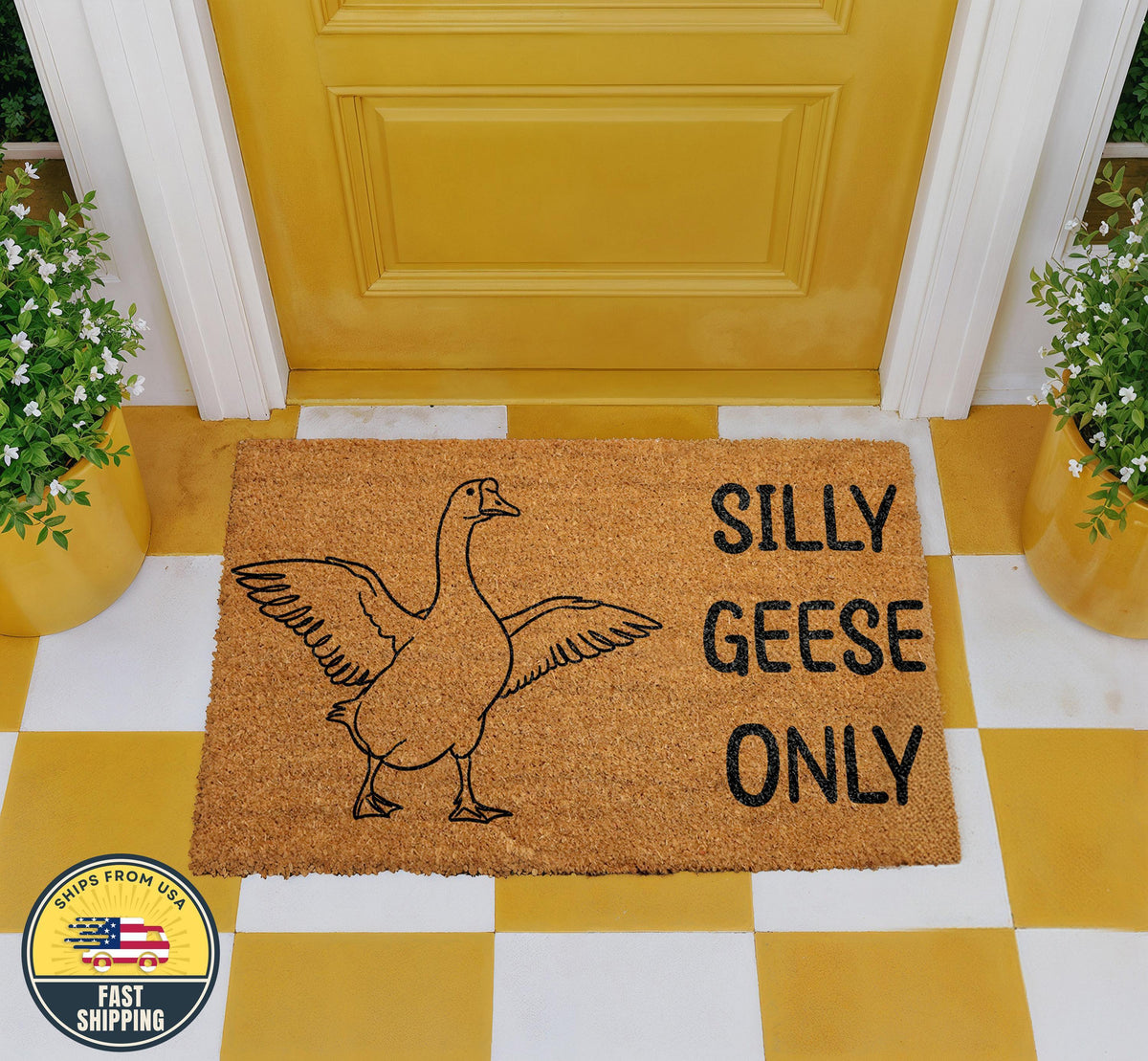 Silly Geese Only Coir Doormat, Funny Welcome Mat, Cute Doormat, Funny Sayings Rug