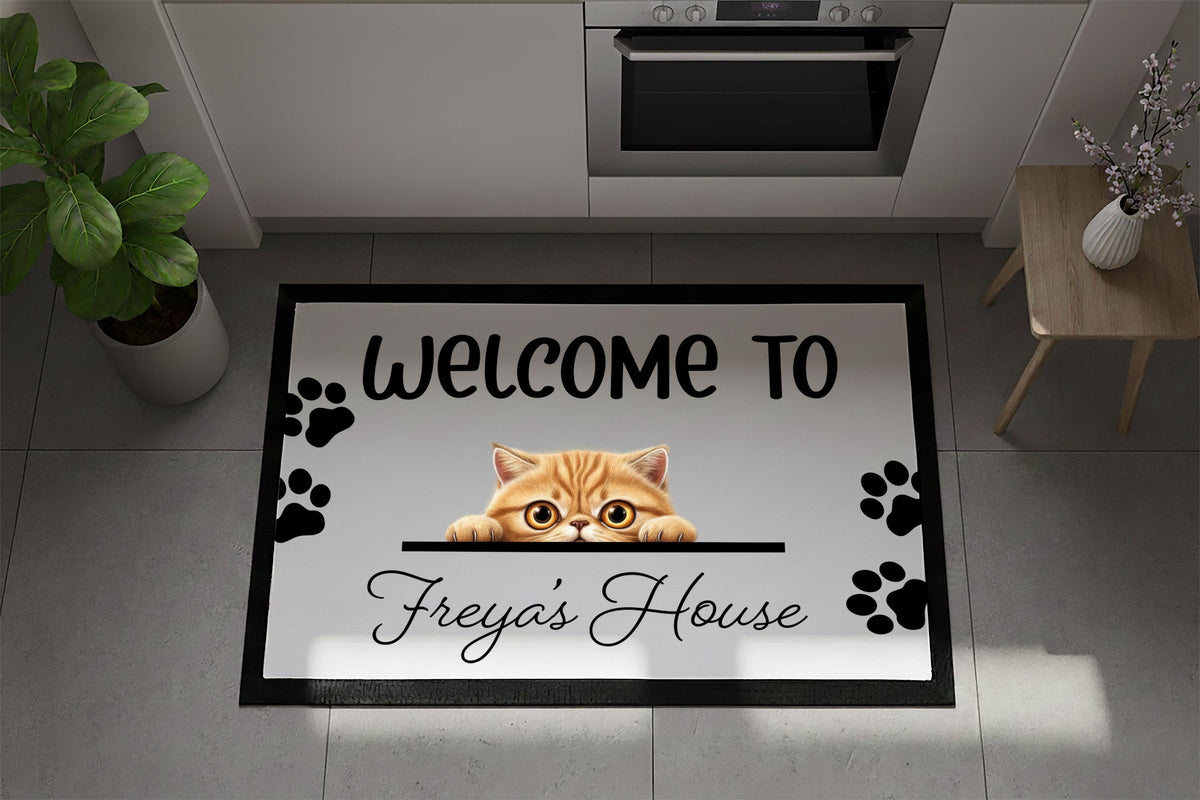 Custom Pet Door Mat, Personalized Cat Welcome Mat, Pets Lover Housewarming Gift, Cats Owner Mat, Home Entrance Decor