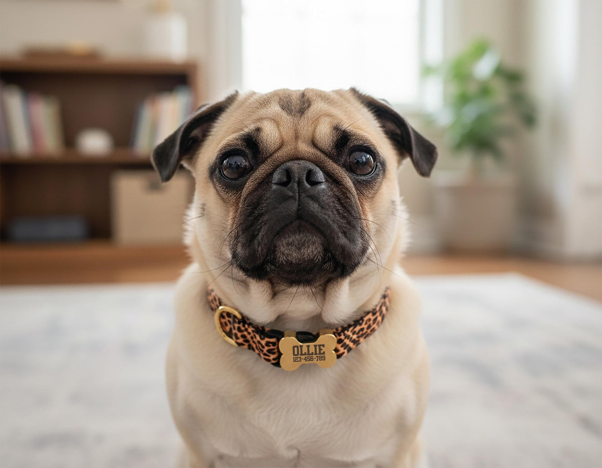 Custom Dog Collar with Engraved Name Plate, Personalized Boho Dog Collar, Leopard Print Pet Collar, Engraved Bone ID Tag Collar
