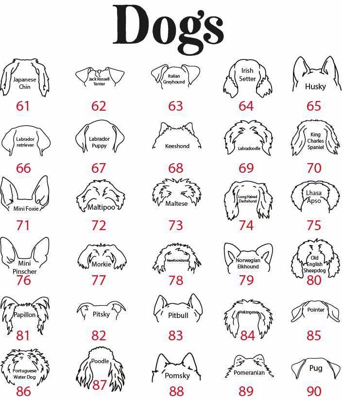 Custom Pet Name Mug, Dogs Split Face Coffee Cup, Dog & Cat Lover Ceramic Mug, Paw Print and Bone Pattern Tea Cup, Puppy Owner Present