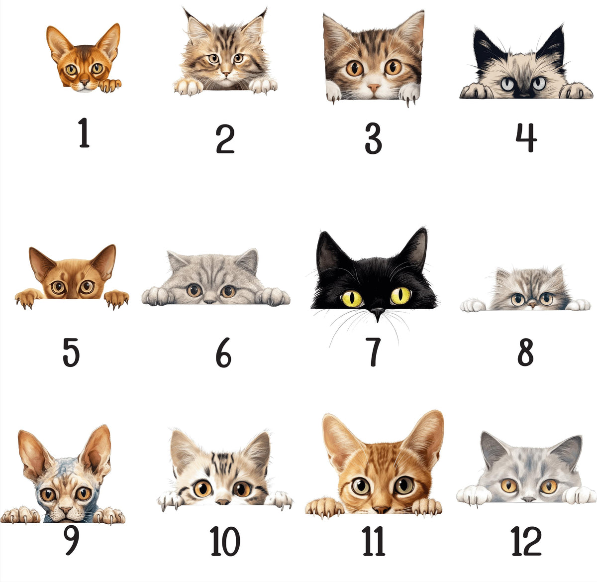Custom Pet Door Mat, Personalized Cat Welcome Mat, Pets Lover Housewarming Gift, Cats Owner Mat, Home Entrance Decor