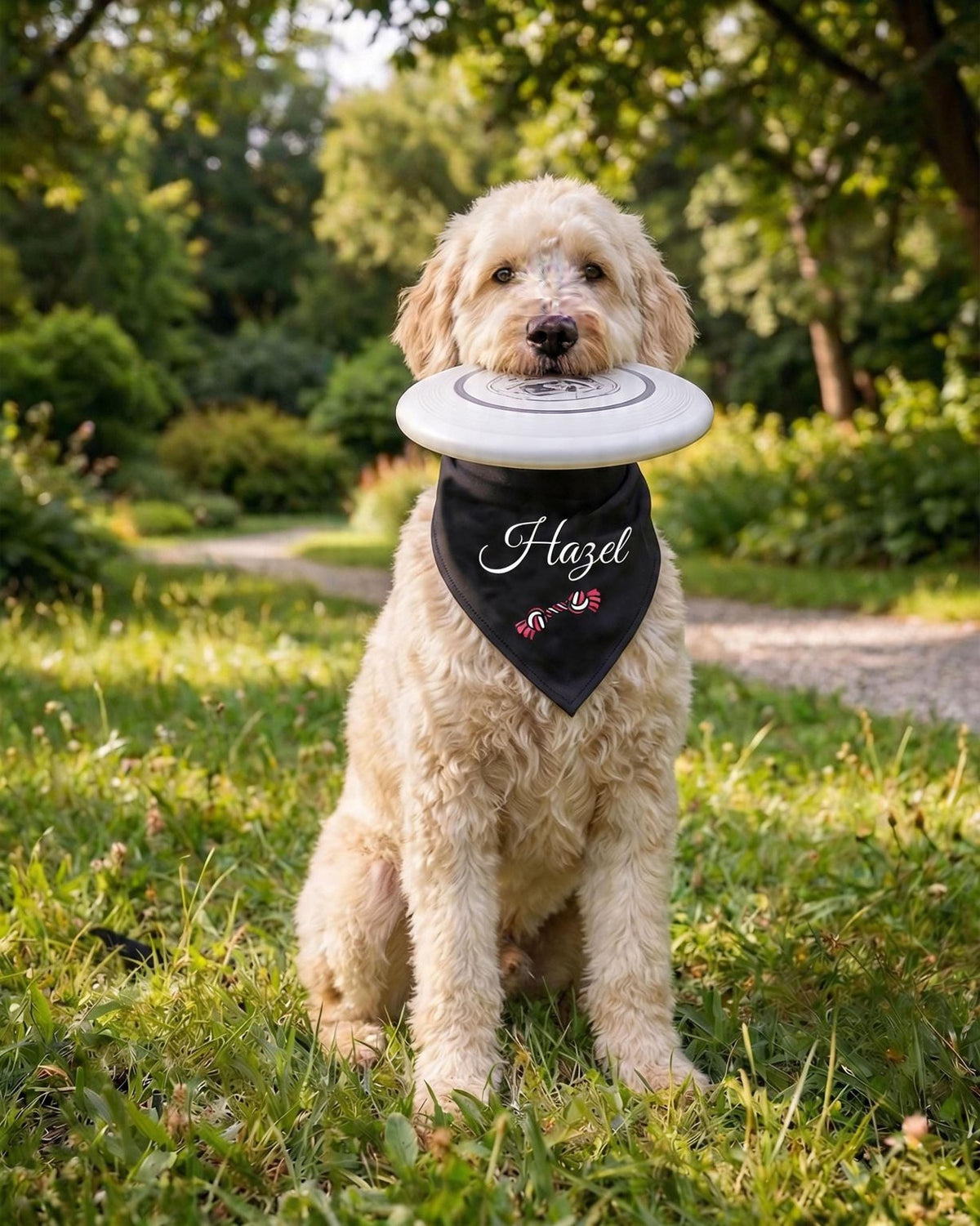 Personalized Dog Bandana, Cute Custom Name Pet Scarf, New Puppy Gift, Playful Dog Neckwear, Outdoor Pet Accessories, Gift for Dog Lovers