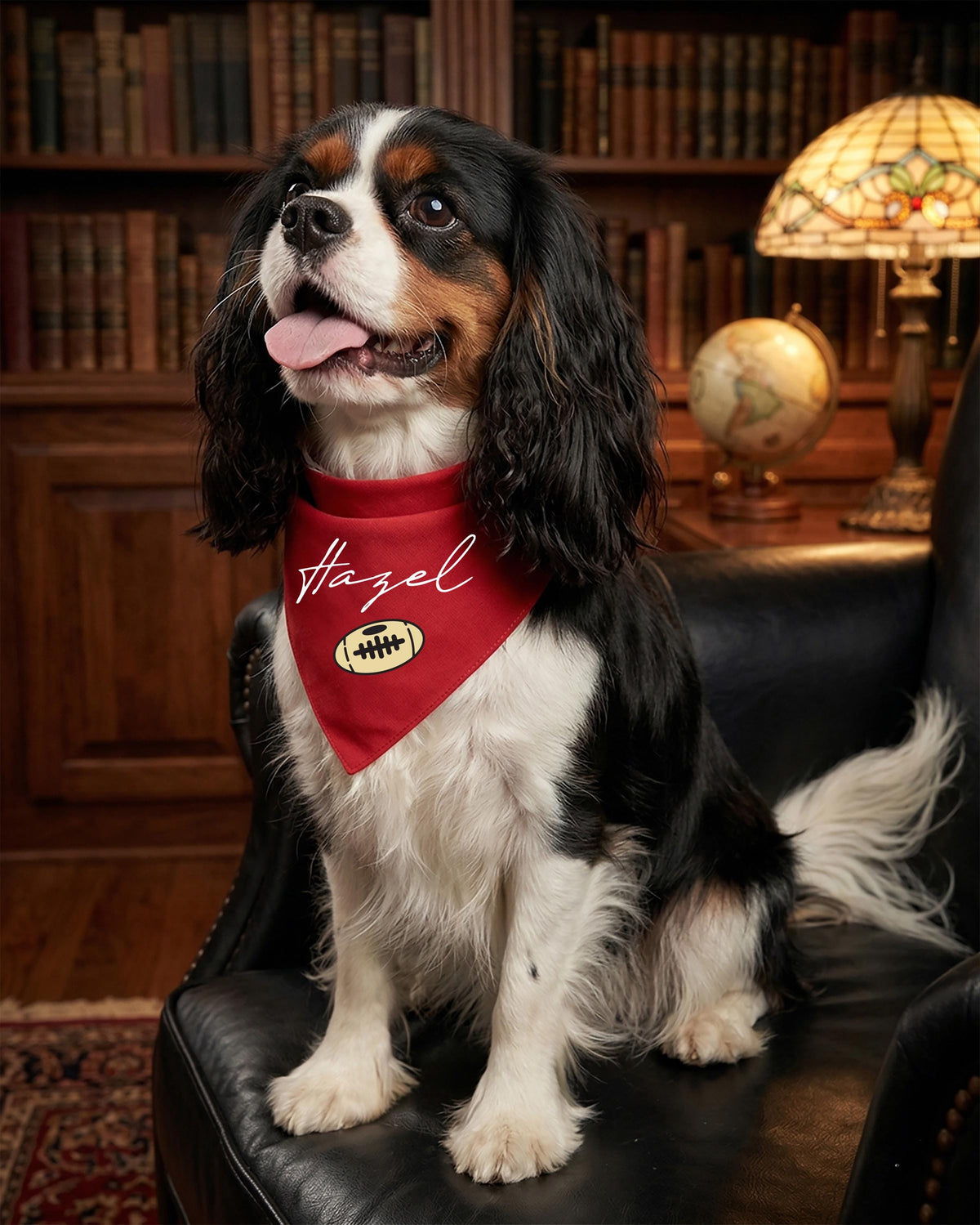 Custom Dog Bandana, Football Pet Personalized Scarf, Dog Bandana for Sports Fans, New Puppy Gift, Outdoor Pet Accessories, Pet Gift Ideas