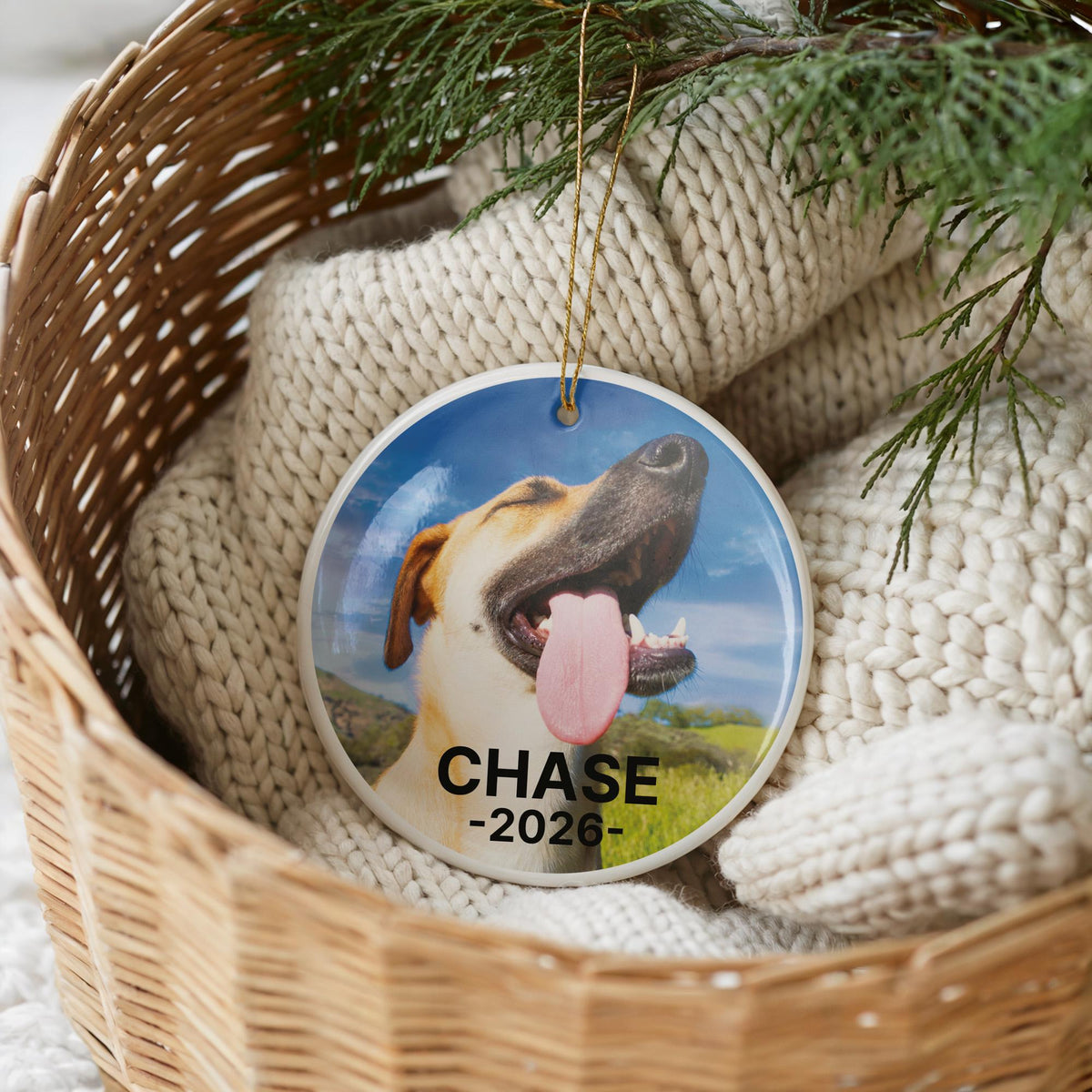Custom Text Pet Photo Ornament, Dog Memorial Ornaments, Personalized Name & Date Pet Remembrance Gift, Dog Loss Sympathy Keepsake