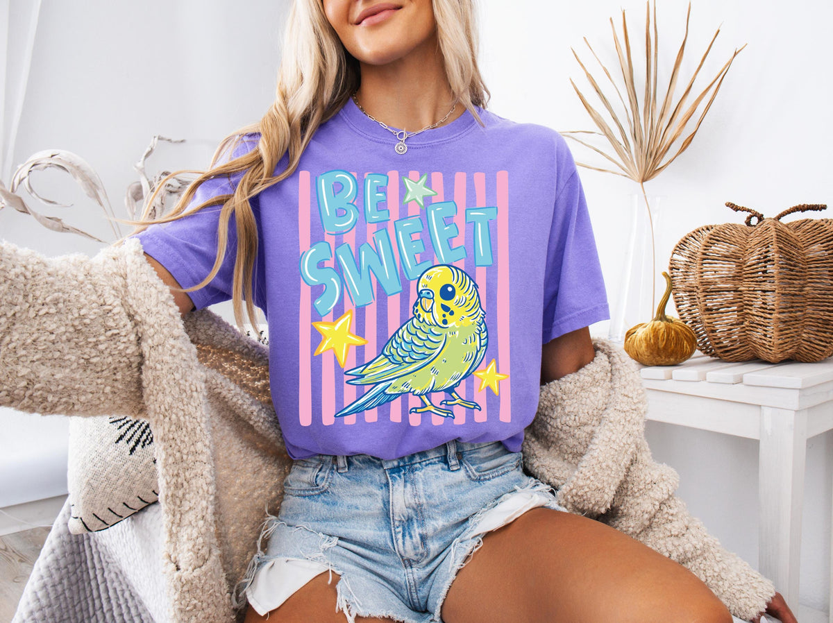 Comfort Colors® Be Sweet Parakeet T-Shirt, Rhyming Teacher Shirt, Retro Budgie Tees, Preppy Bird Sweatshirt, School Farewell Tee