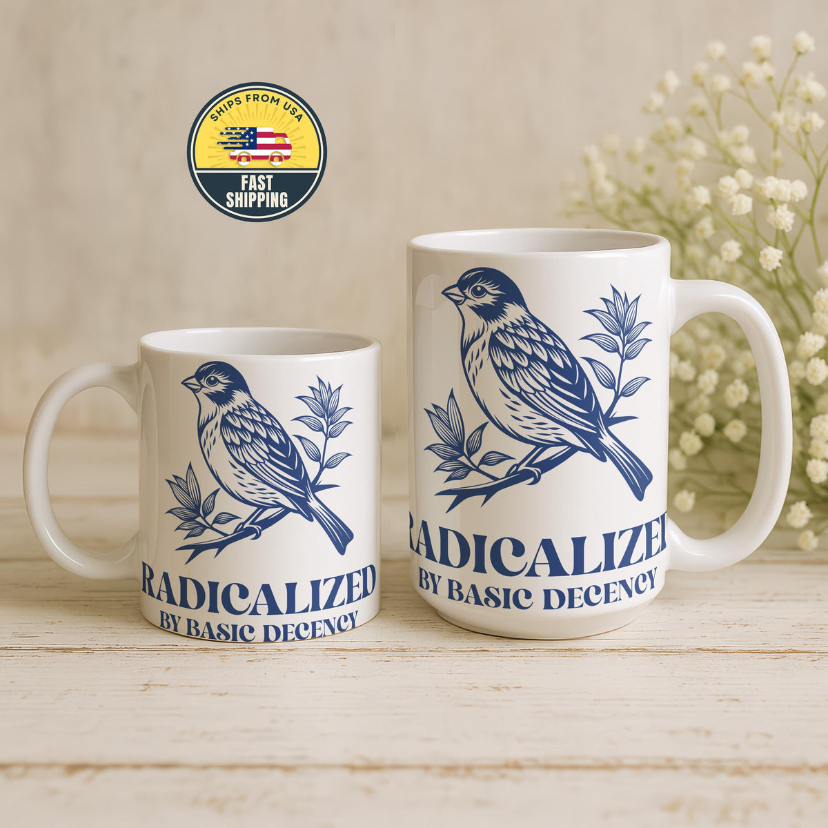 Radicalized by Basic Decency Coffee Mug, Democratic Mug, Funny Political Mug