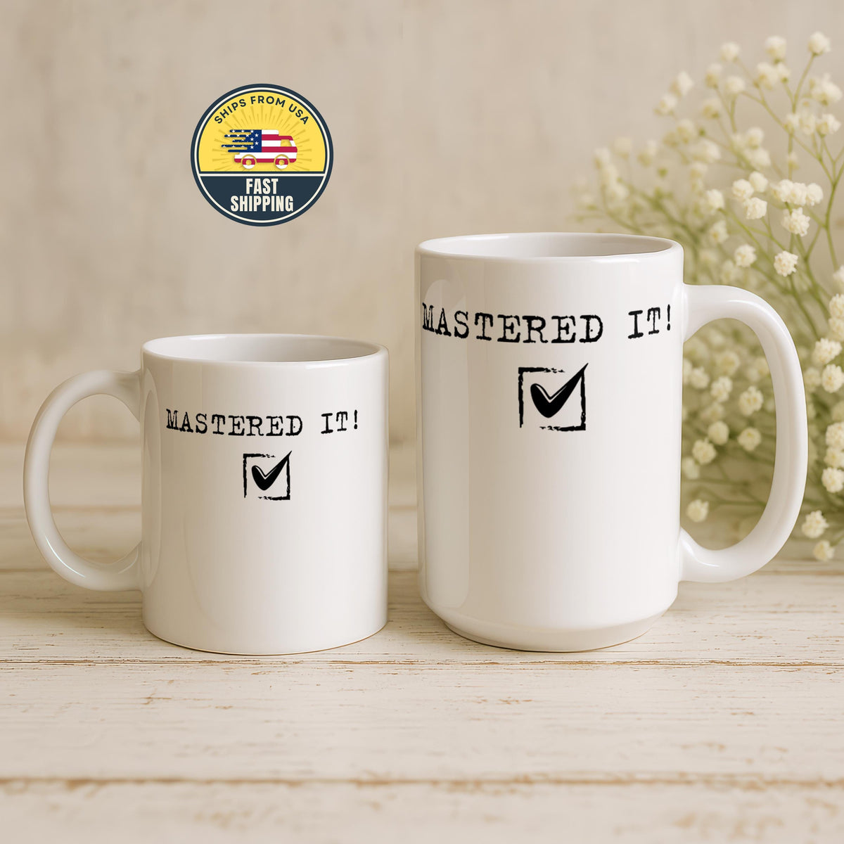 Mastered It Mug, Graduation Coffee Cup, Achievement Gift Mug, Funny Success Mug