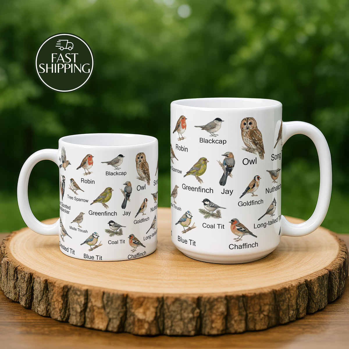Birds Identification Ceramic Cup, Educational Bird Watching Coffee Mug