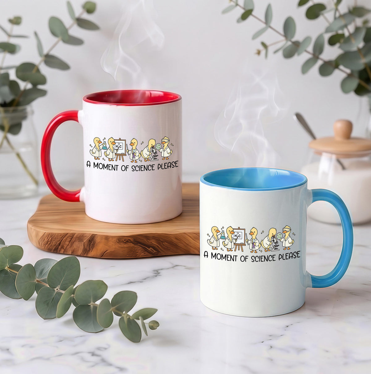 A Moment of Science Please Coffee Mug, Funny Cute Duck STEM Teacher Cup