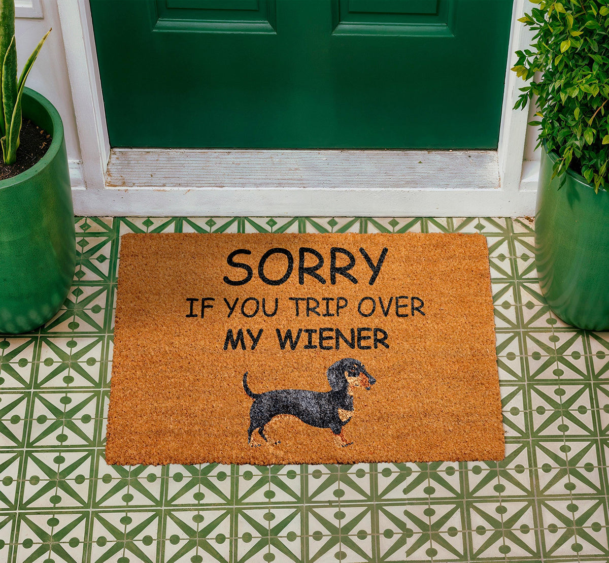 Funny Dachshund Doormat, Wiener Dog Welcome Mat, Pet Lover Rug