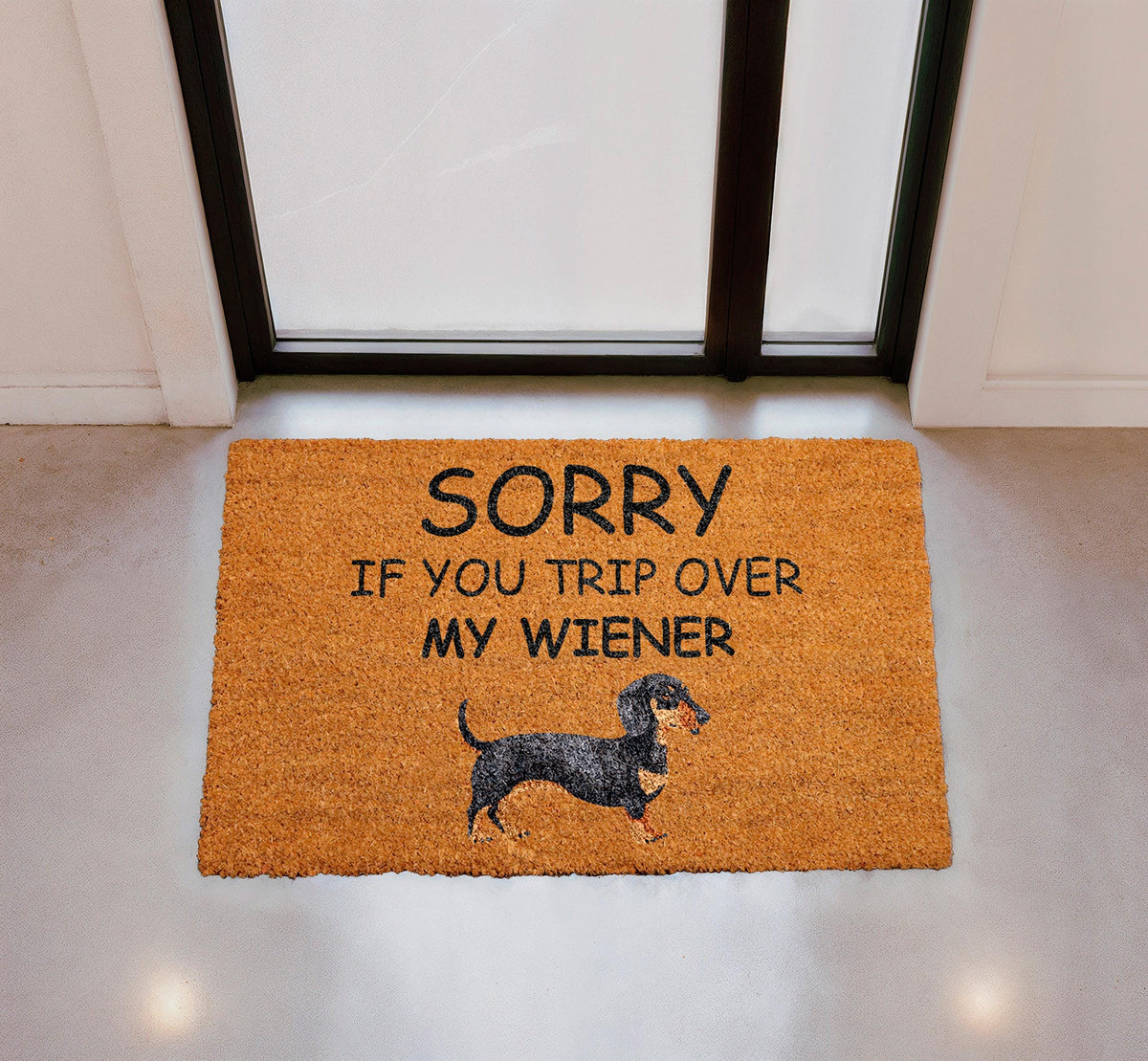 Funny Dachshund Doormat, Wiener Dog Welcome Mat, Pet Lover Rug