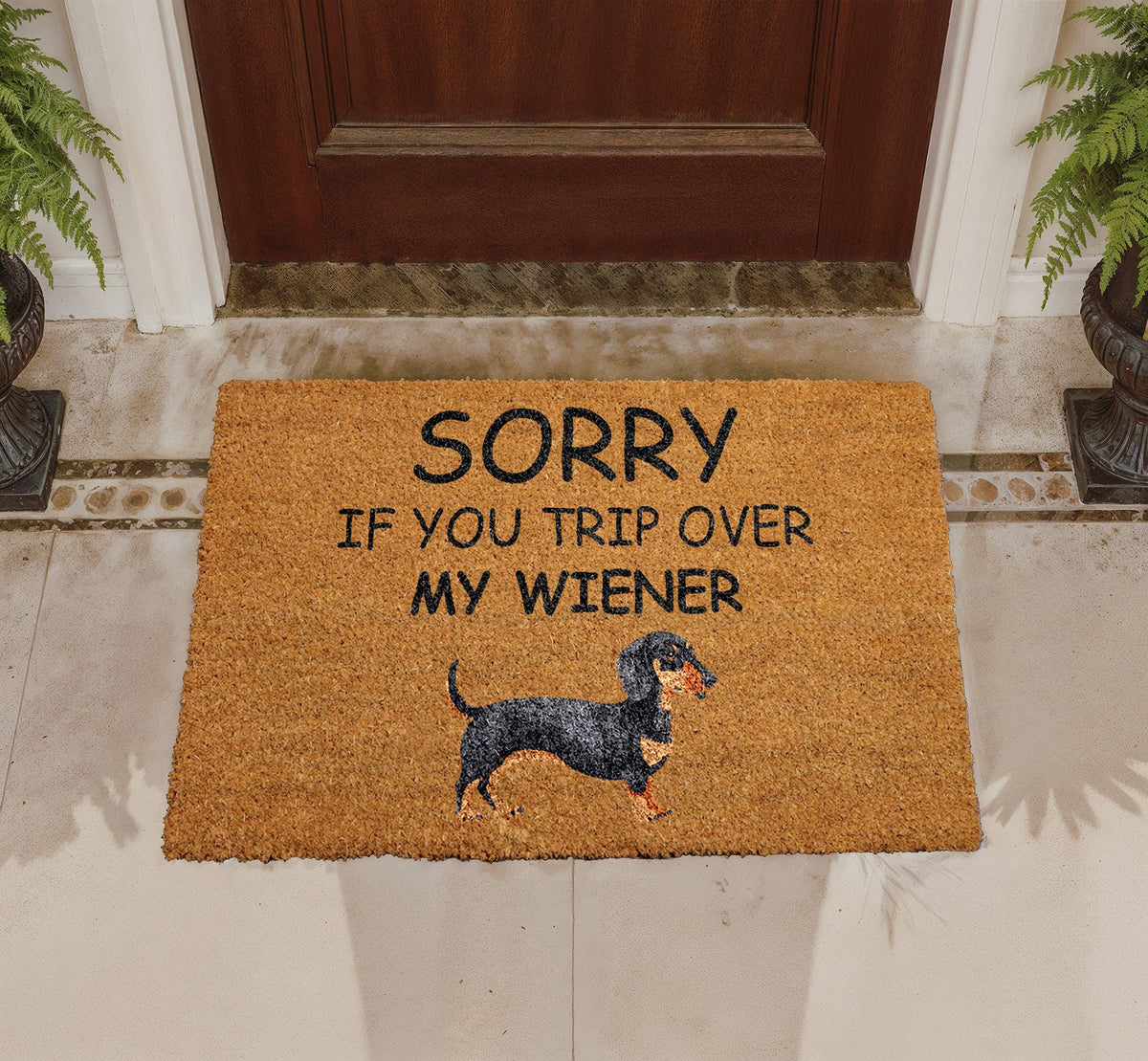 Funny Dachshund Doormat, Wiener Dog Welcome Mat, Pet Lover Rug