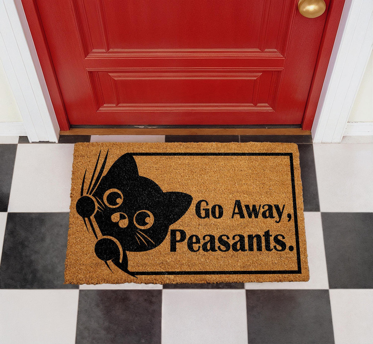 Funny Cat Doormat, Sarcastic Welcome Mat, Coir Outdoor Rug (18"x30")