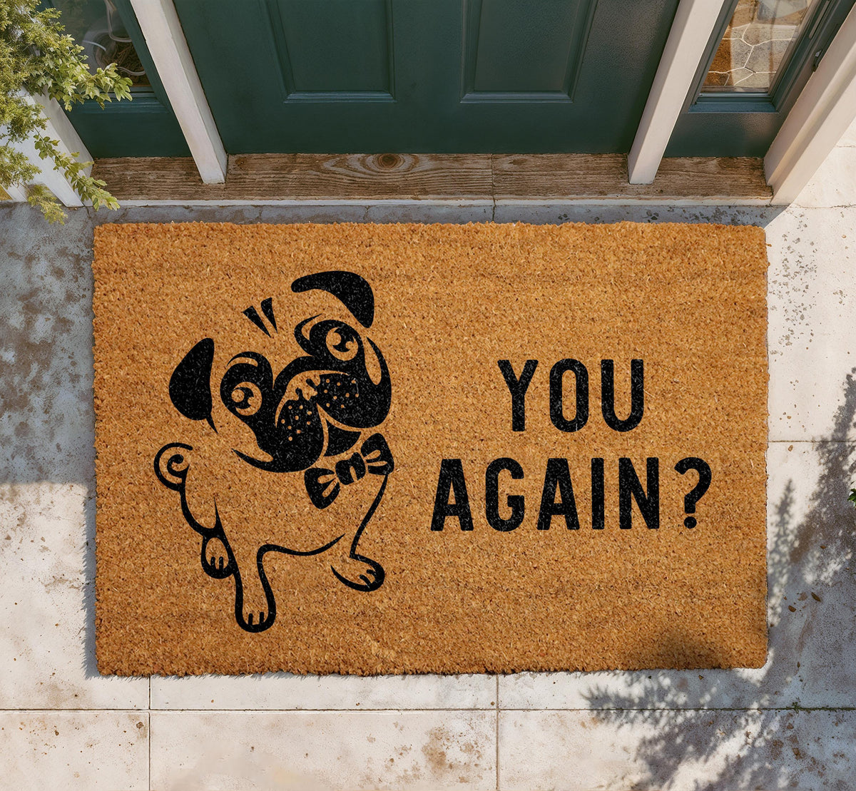 Funny Cat Doormat, "Oh no. Not you again." Welcome Mat, Coir Home Decor