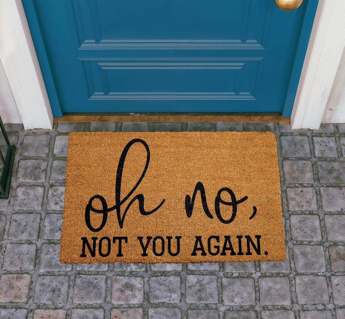 Funny Cat Doormat, "Oh no. Not you again." Welcome Mat, Coir Home Decor
