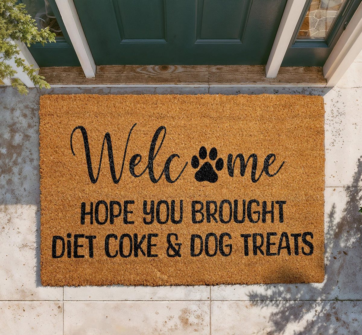 Hope You Brought Diet Coke & Dog Treats Doormat, Funny Dog Owner Welcome Mat, Humorous Pet Lover Door Mat, Outdoor Coir Front Porch Rug