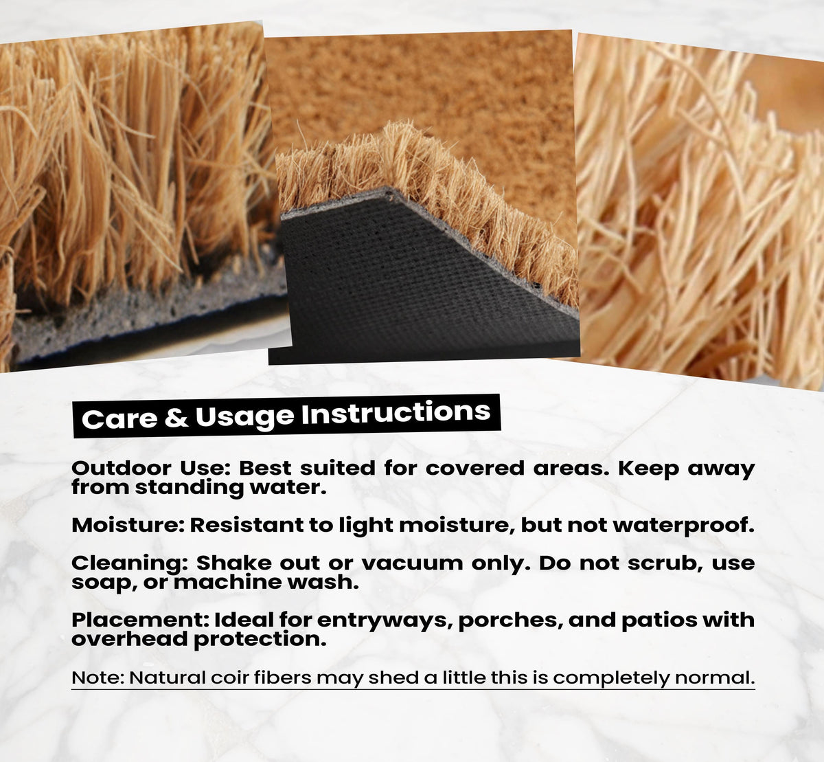 Funny Raccoon Goose "Up To Some Nonsense" Coir Doormat