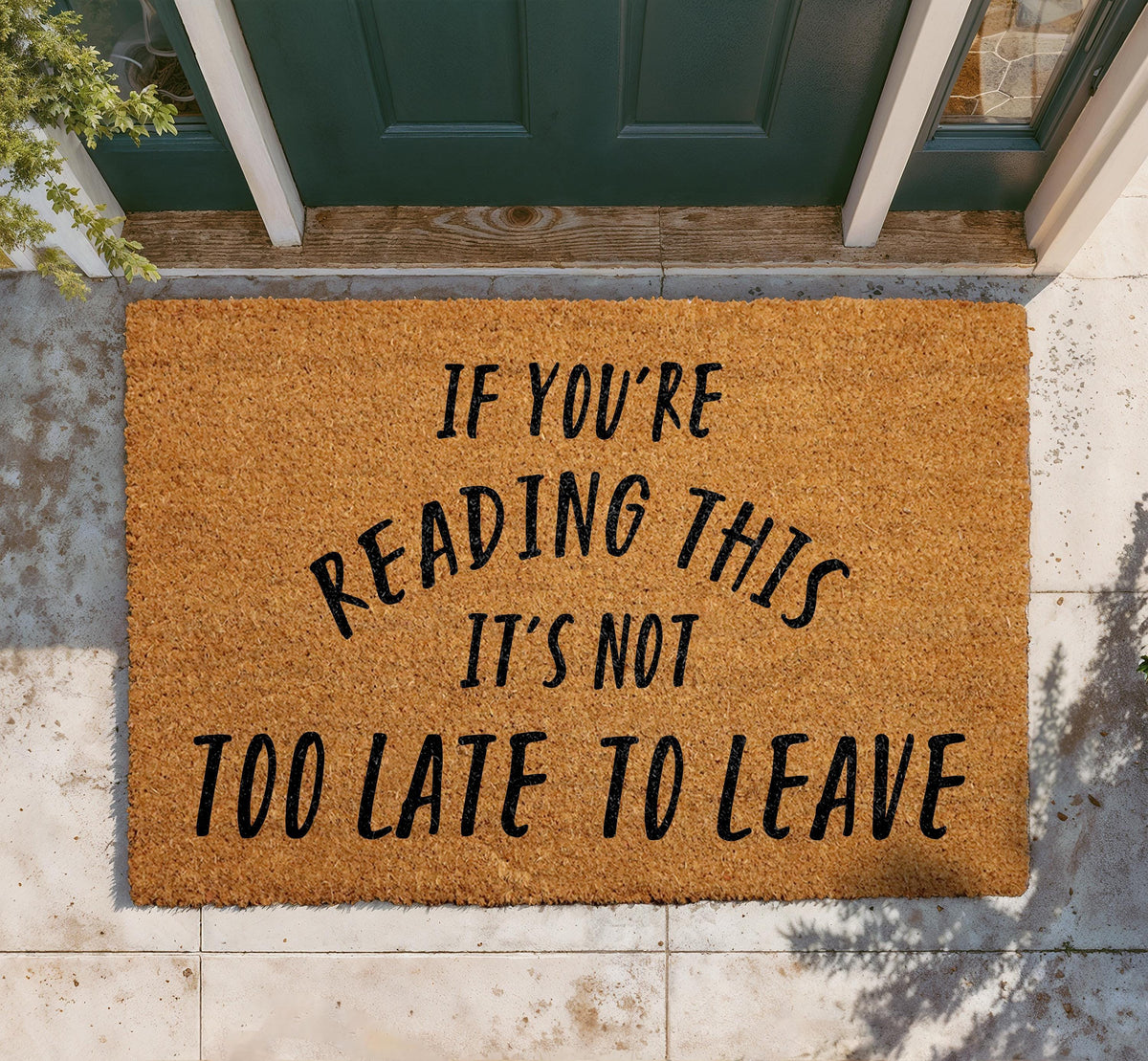 Sarcastic Coir Doormat, Funny Welcome Mat, Natural Fiber Rug, Front Porch Decor