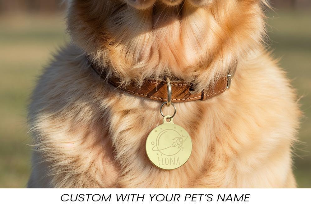 Personalized Engraved Stainless Steel Pet ID Tag, Custom Dog Cat Collar Accessory