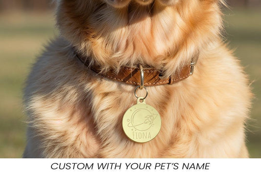 Personalized Engraved Stainless Steel Pet ID Tag, Custom Dog Cat Collar Accessory