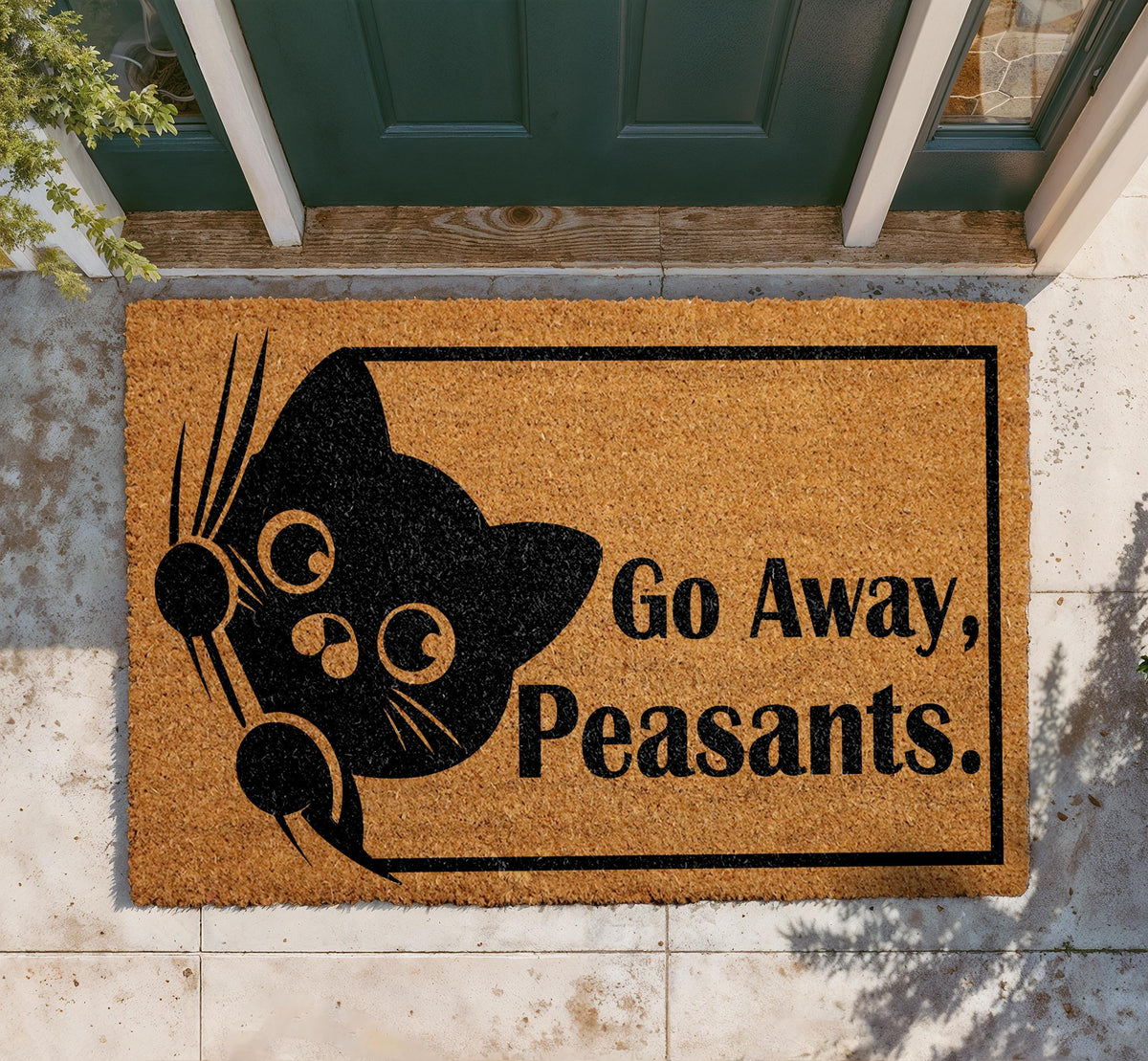 Funny Cat Doormat, Sarcastic Welcome Mat, Coir Outdoor Rug (18"x30")