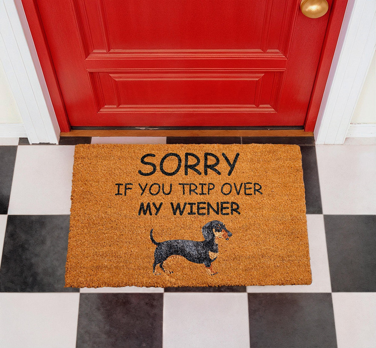 Funny Dachshund Doormat, Wiener Dog Welcome Mat, Pet Lover Rug