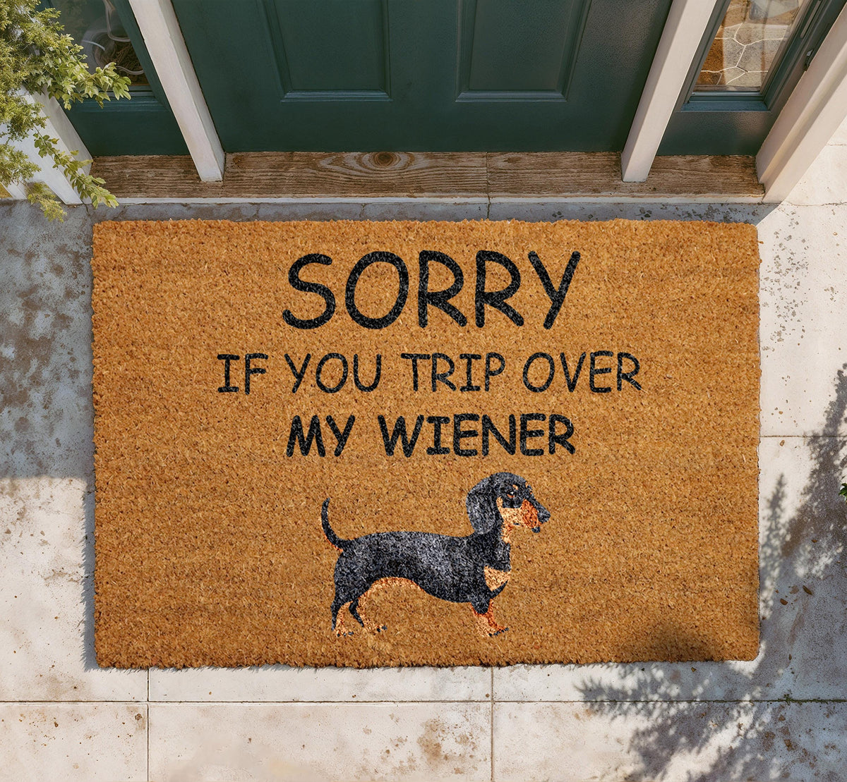 Funny Dachshund Doormat, Wiener Dog Welcome Mat, Pet Lover Rug
