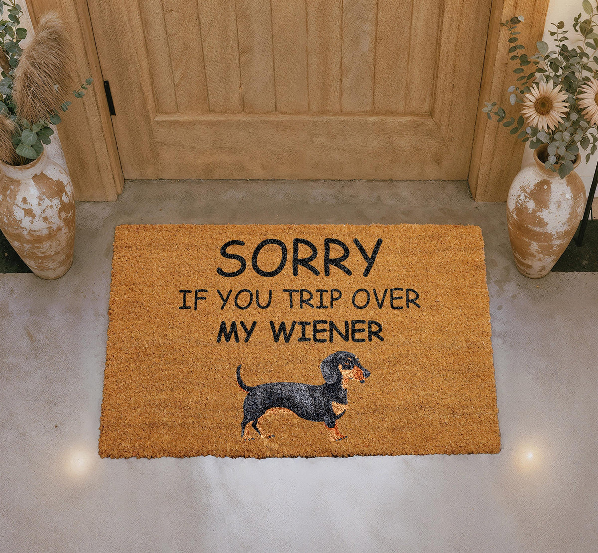 Funny Dachshund Doormat, Wiener Dog Welcome Mat, Pet Lover Rug